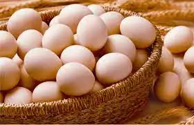 مرغ تخم گذار
